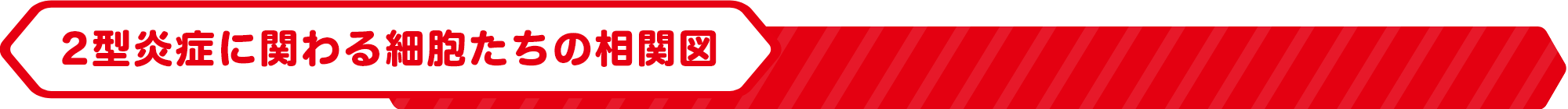 2型炎症に関わる細胞たちの相関図