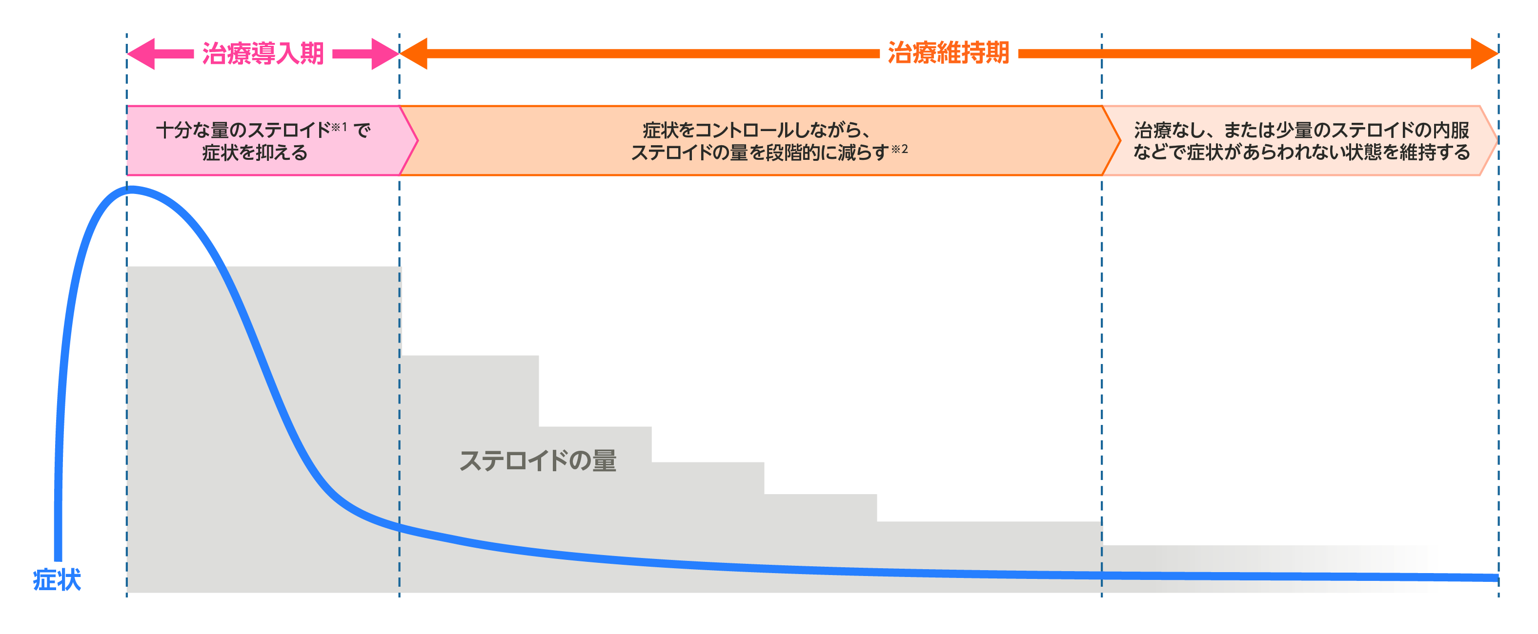 水疱性類天疱瘡の治療イメージ