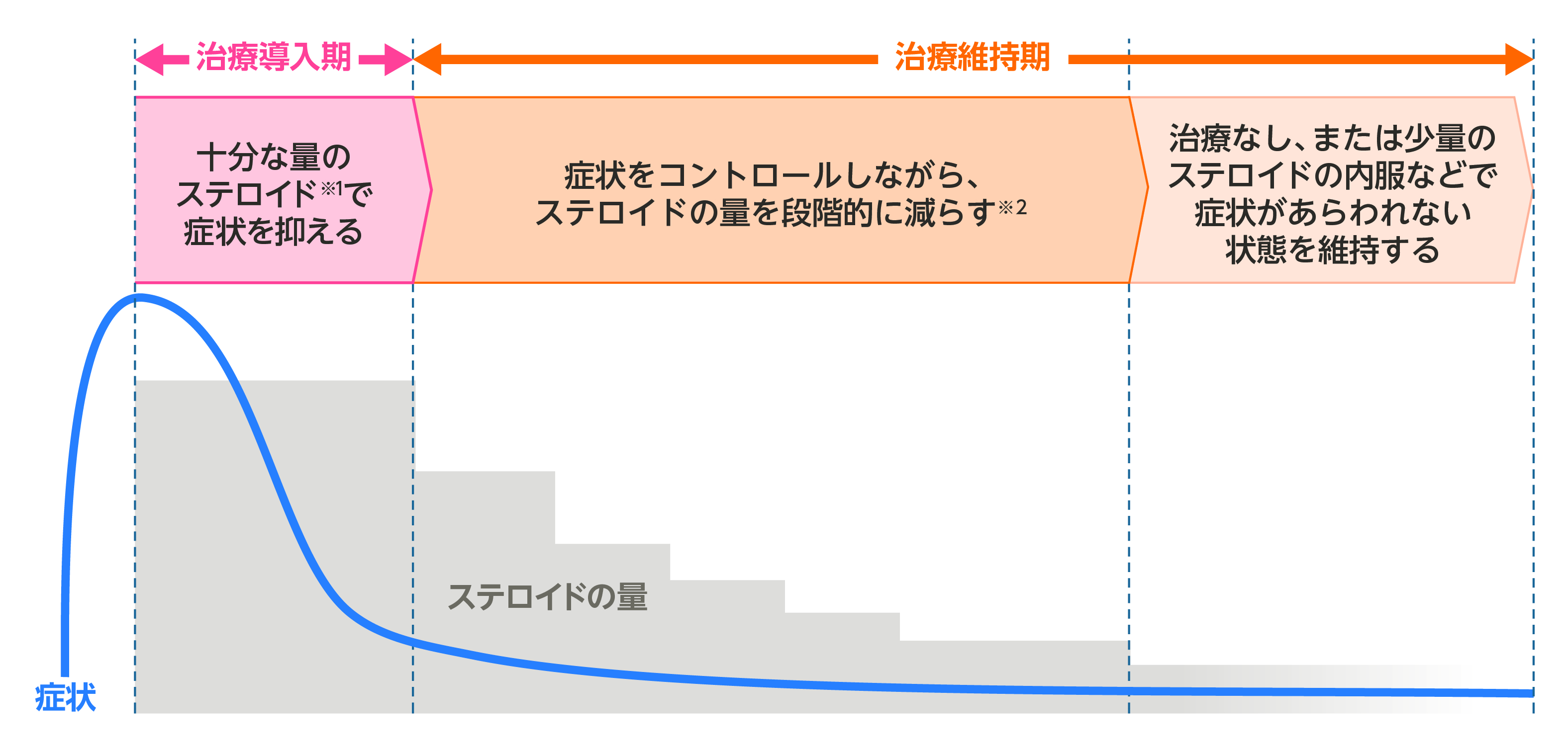 水疱性類天疱瘡の治療イメージ