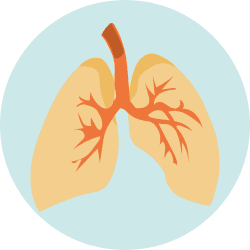喘息の検査
